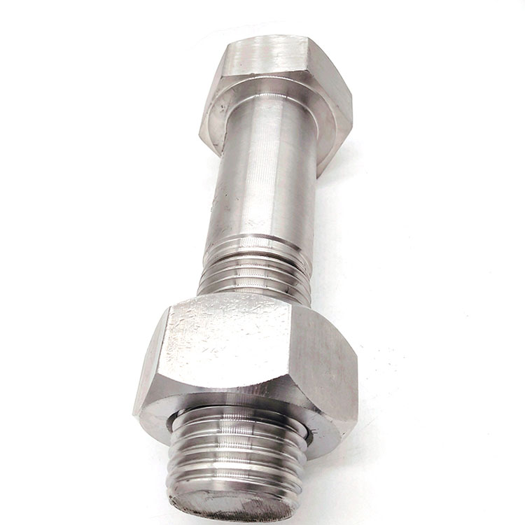 Paslanmayan Polad A2-70 A4-80 Qozlu Ağır Hex Bolt