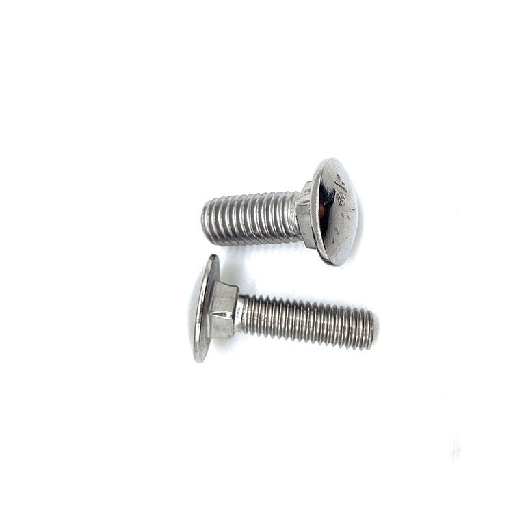 M6 M10 DIN603 INOX A4 Paslanmayan Polad 314 316 INOX A2 Daşıyıcı Bolt