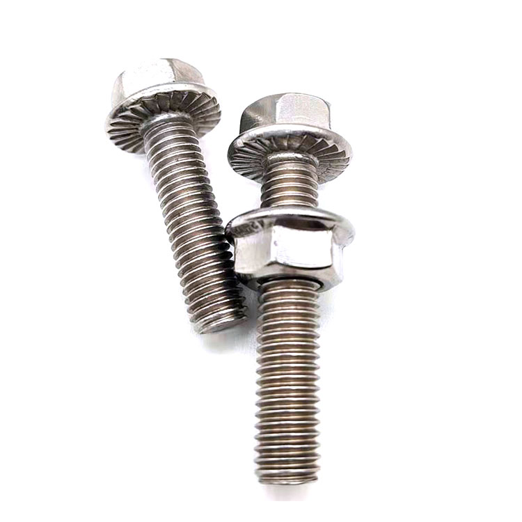 Paslanmayan Polad304/316 Hex Flanş Bolt